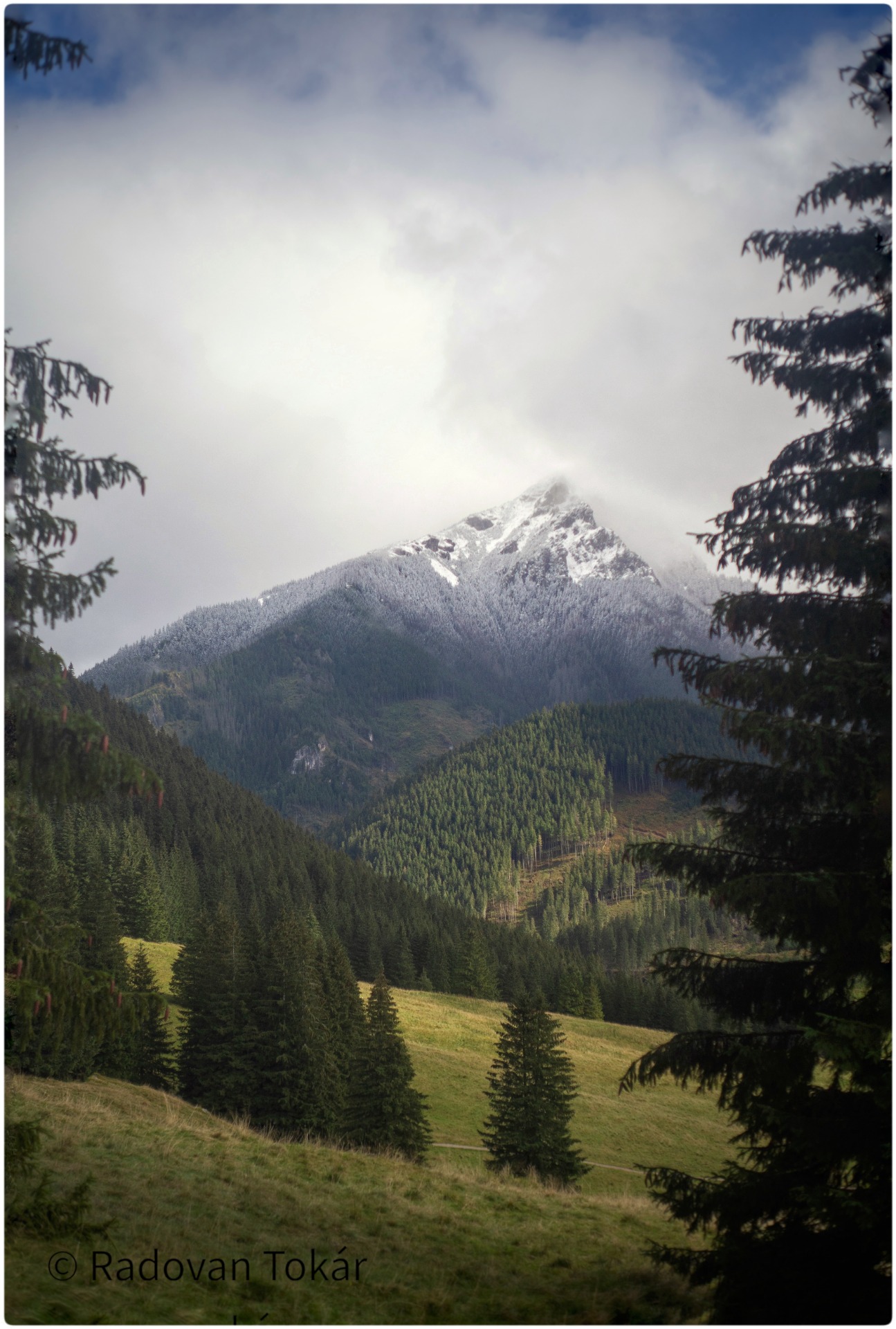 Photo: ©Tokar Radovan, Ilustračný obrázok